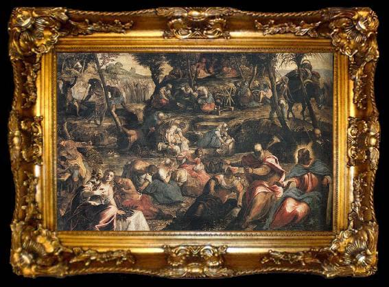 framed  Jacopo Tintoretto Gathering of Manna, ta009-2